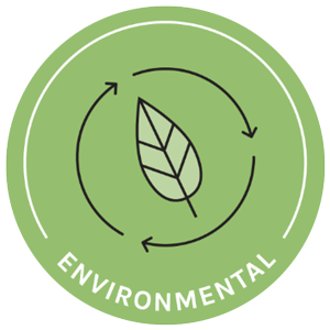 environment-icon
