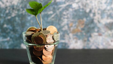 A clear pot of loose change with a small plant growing out of it