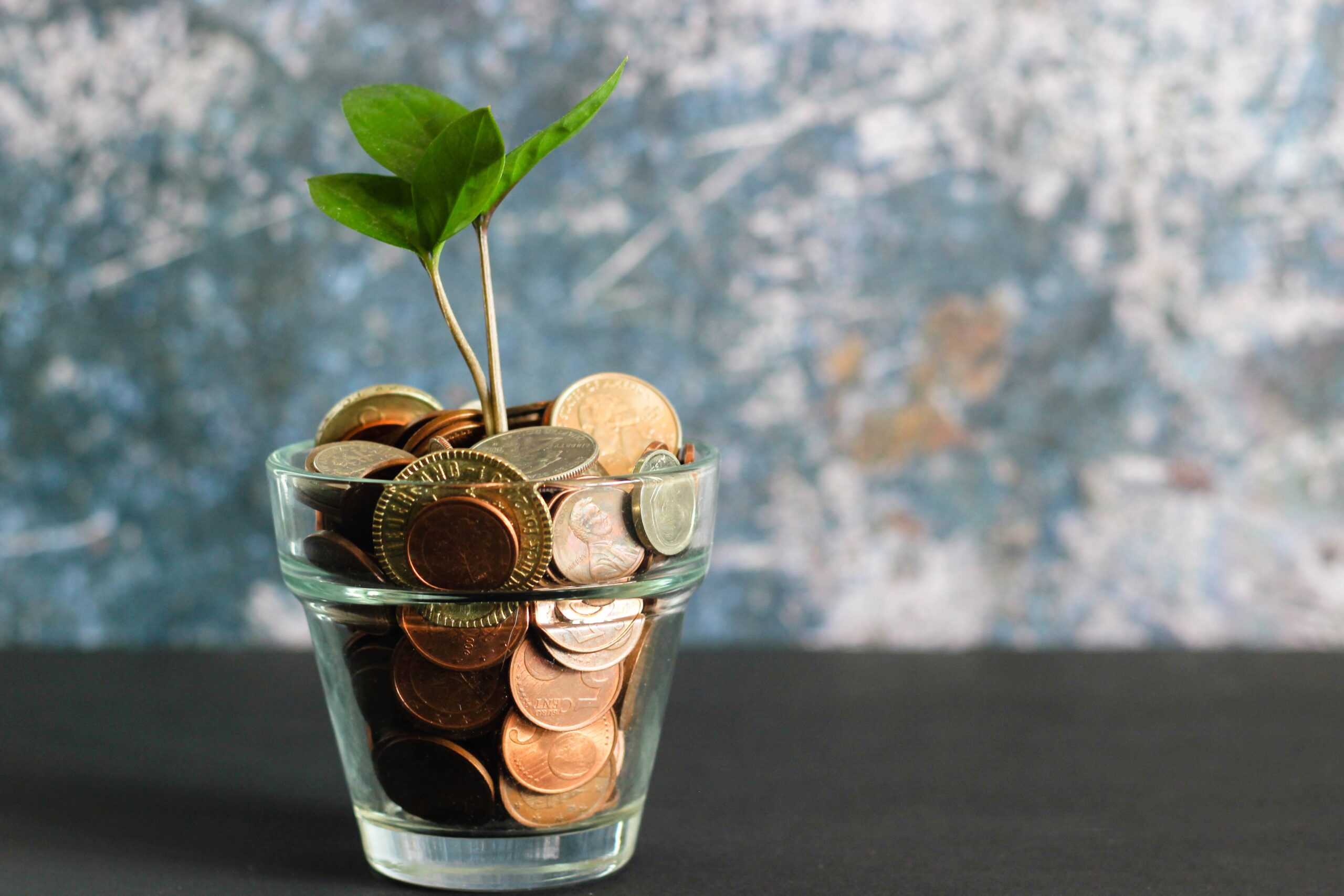 A clear pot of loose change with a small plant growing out of it